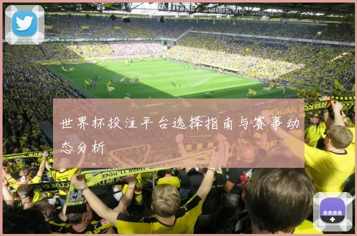 世界杯投注平台选择指南与赛事动态分析