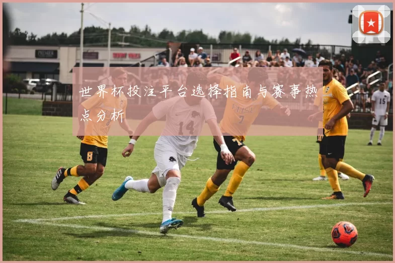 世界杯投注平台选择指南与赛事热点分析