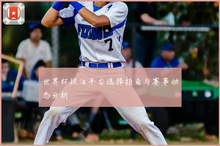 世界杯投注平台选择指南与赛事动态分析