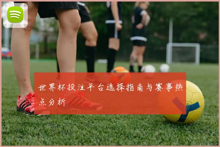 世界杯投注平台选择指南与赛事热点分析