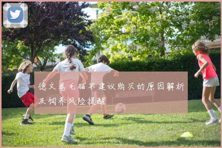 德文卷毛猫不建议购买的原因解析及饲养风险提醒