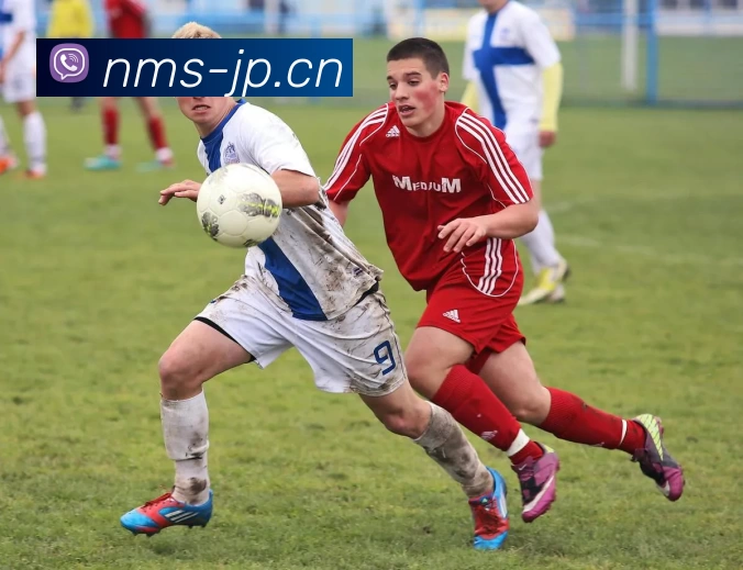 333体育(333体育)平台生态图